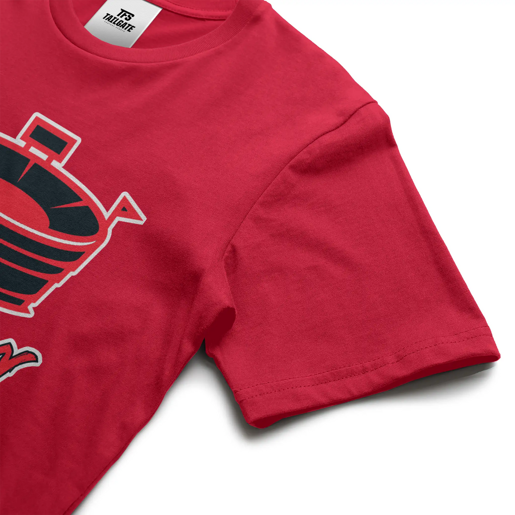 The Hometown Bowl Collection: The Space City (Houston)